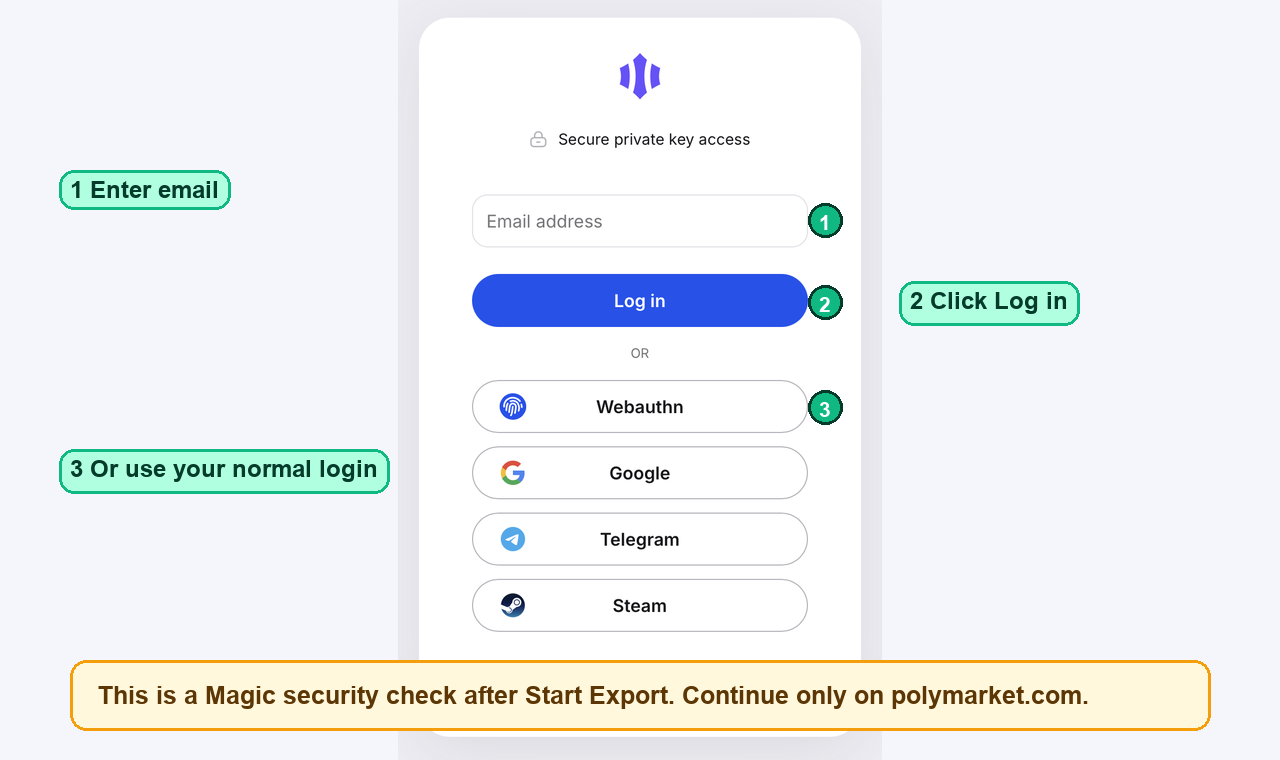 Redacted Magic secure private key access screen with login choices marked.